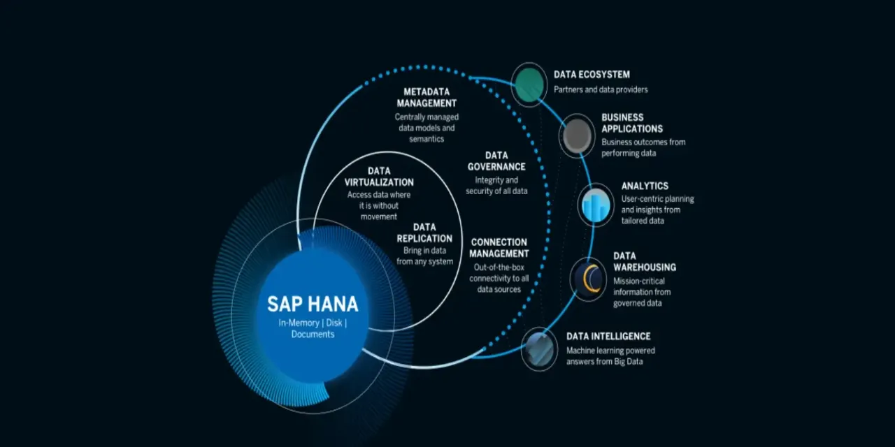 SAPHANA | Groupe TJC