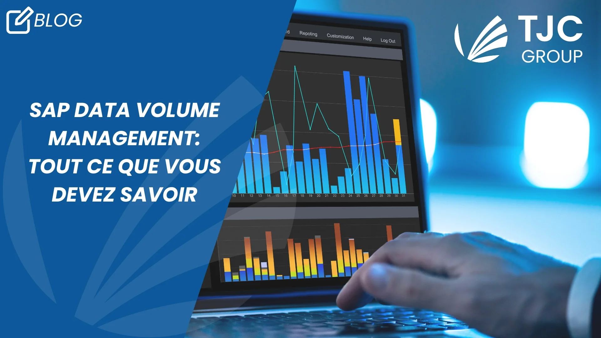 SAP Data Volume Management: Tout ce que vous devez savoir